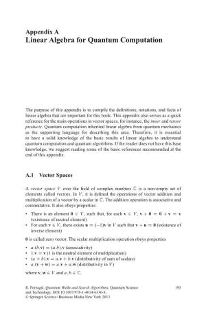 Linear Algebra for Quantum Computation