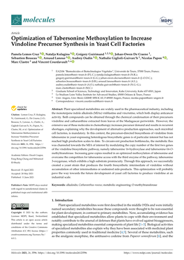 Optimization of Tabersonine Methoxylation to Increase Vindoline Precursor Synthesis in Yeast Cell Factories