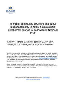 Microbial Community Structure and Sulfur Biogeochemistry in Mildly Acidic Sulfidic Geothermal Springs in Yellowstone National Park