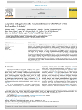 Adaptation and Application of a Two-Plasmid Inducible CRISPR-Cas9 System in Clostridium Beijerinckii