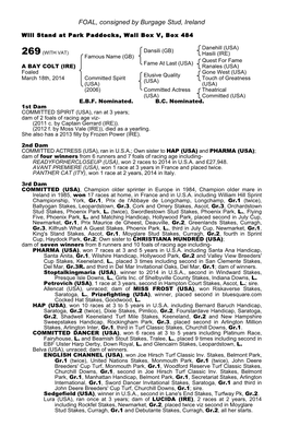 FOAL, Consigned by Burgage Stud, Ireland