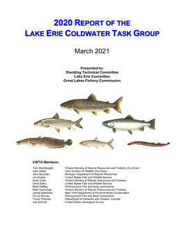 2021 Report of the Lake Erie Coldwater Task Group