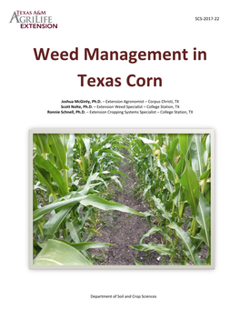 Weed Management in Texas Corn
