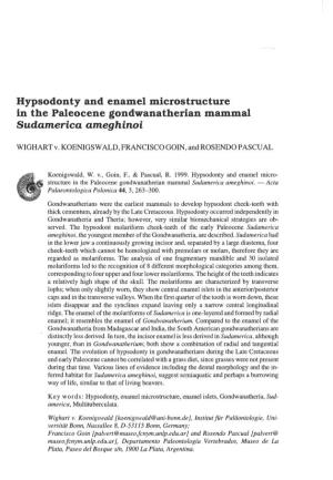 Hypsodonty and Enamel Microstructure in the Paleocene Gondwanatherian Mammal Sudamerica Ameghinoi