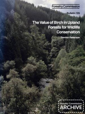 The Value of Birch in Upland Forests for Wildlife Conservation Gordon Patterson