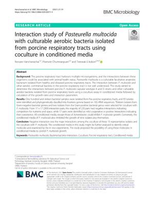Interaction Study of Pasteurella Multocida with Culturable Aerobic