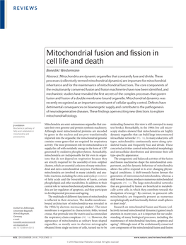 Mitochondrial Fusion and Fission in Cell Life and Death