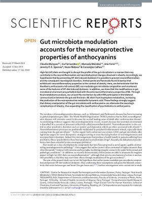 Gut Microbiota Modulation Accounts for the Neuroprotective Properties of Anthocyanins