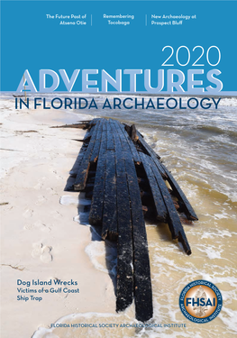 In Florida Archaeology