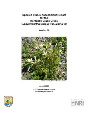Species Status Assessment Report for the Kentucky Glade Cress (Leavenworthia Exigua Var