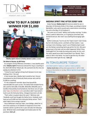 How to Buy a Derby Winner for $1,000