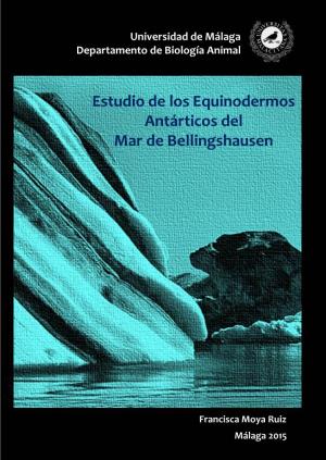 Estudio De Los Equinodermos Antárticos Del Mar De Bellingshausen
