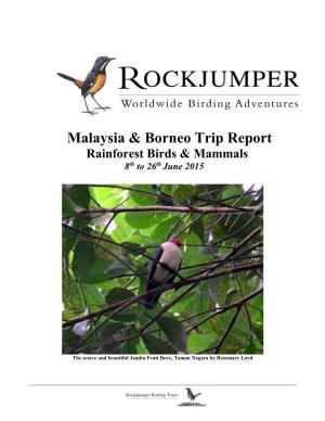 Malaysia & Borneo Trip Report