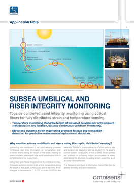Subsea Umbilical and Riser Integrity Monitoring