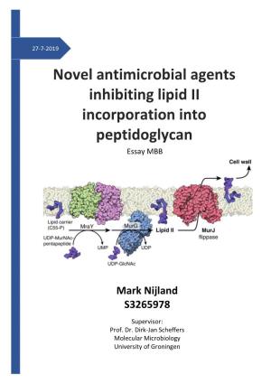 Novel Antimicrobial Agents Inhibiting Lipid II Incorporation Into Peptidoglycan Essay MBB