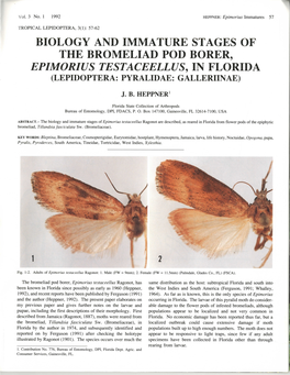 Biology and Immature Stages of the Bromeliad Pod Borer, Epimorius Testaceellus, in Florida (Lepidoptera: Pyralidae: Galleriinae)
