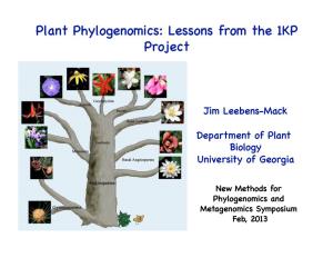 Plant Phylogenomics: Lessons from the 1KP Project!