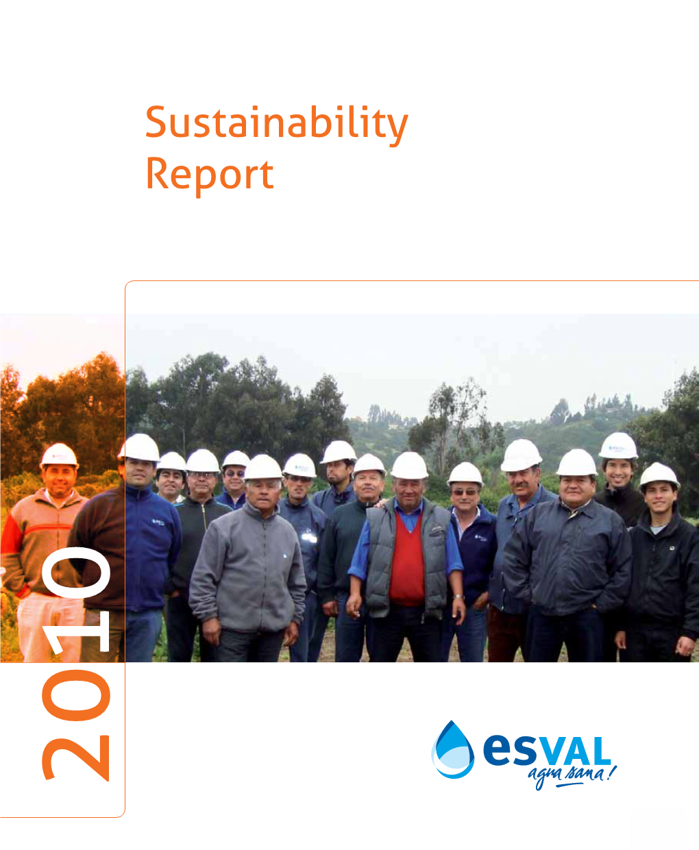Sustainability Report 20 10