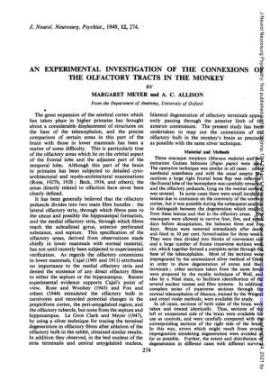AN EXPERIMENTAL INVESTIGATION of the CONNEXIONS of the OLFACTORY TRACTS in the MONKEY by MARGARET MEYER and A
