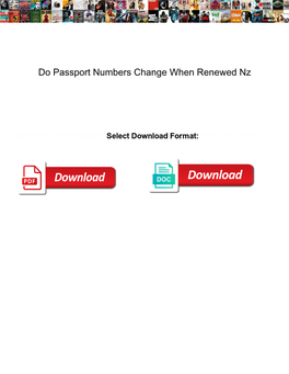 Do Passport Numbers Change When Renewed Nz