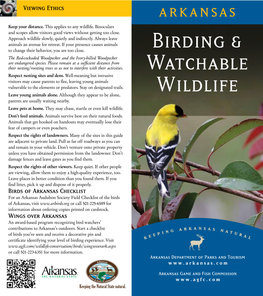 Birding & Watchable Wildlife