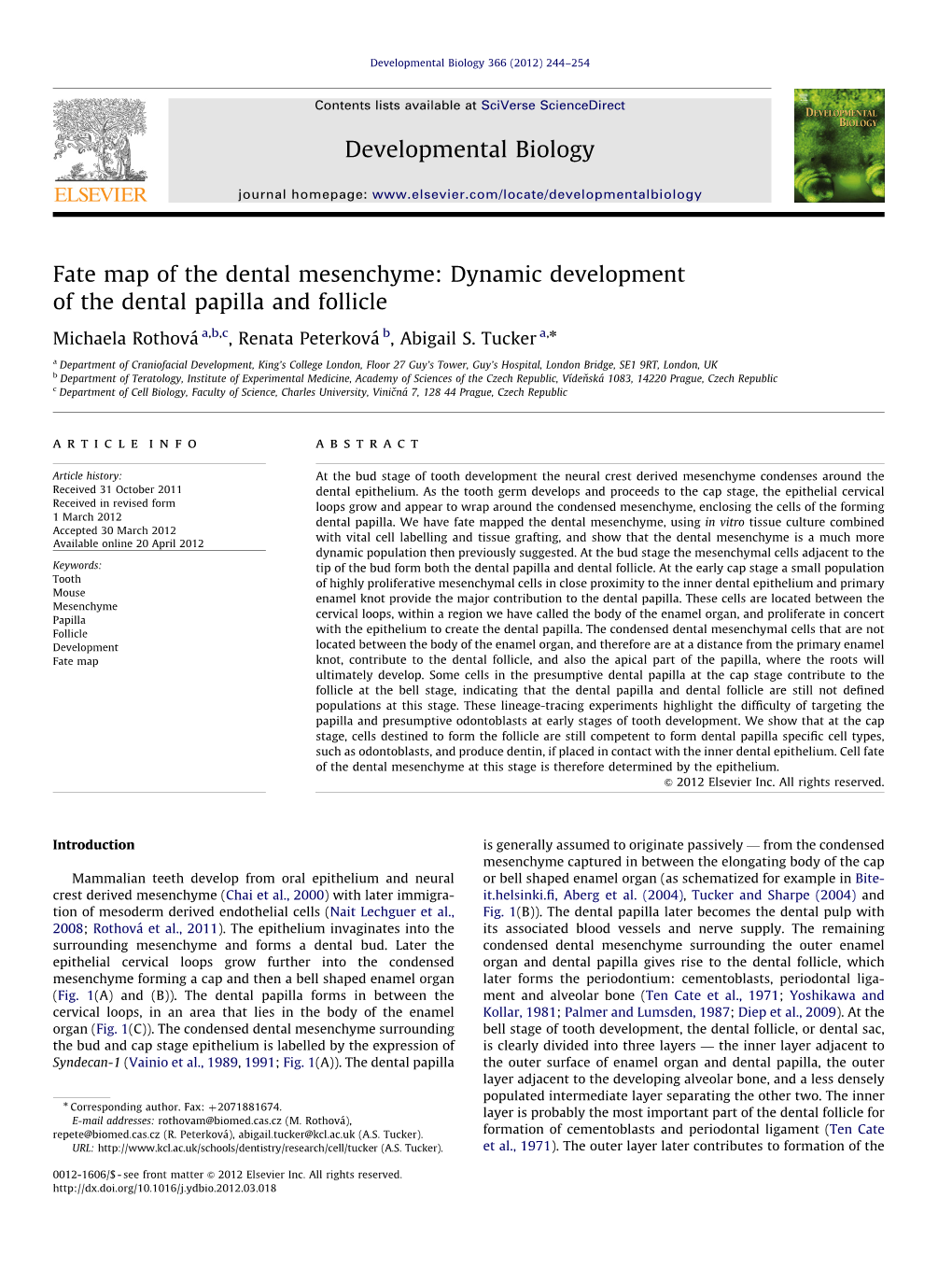 Fate Map of the Dental Mesenchyme Dynamic Development Of