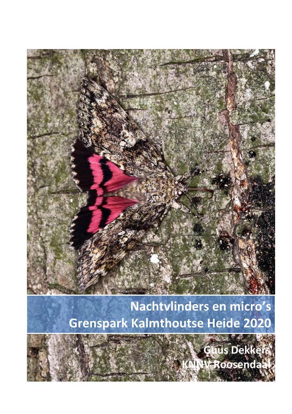 Nachtvlinders En Micro's Grenspark Kalmthoutse Heide 2020