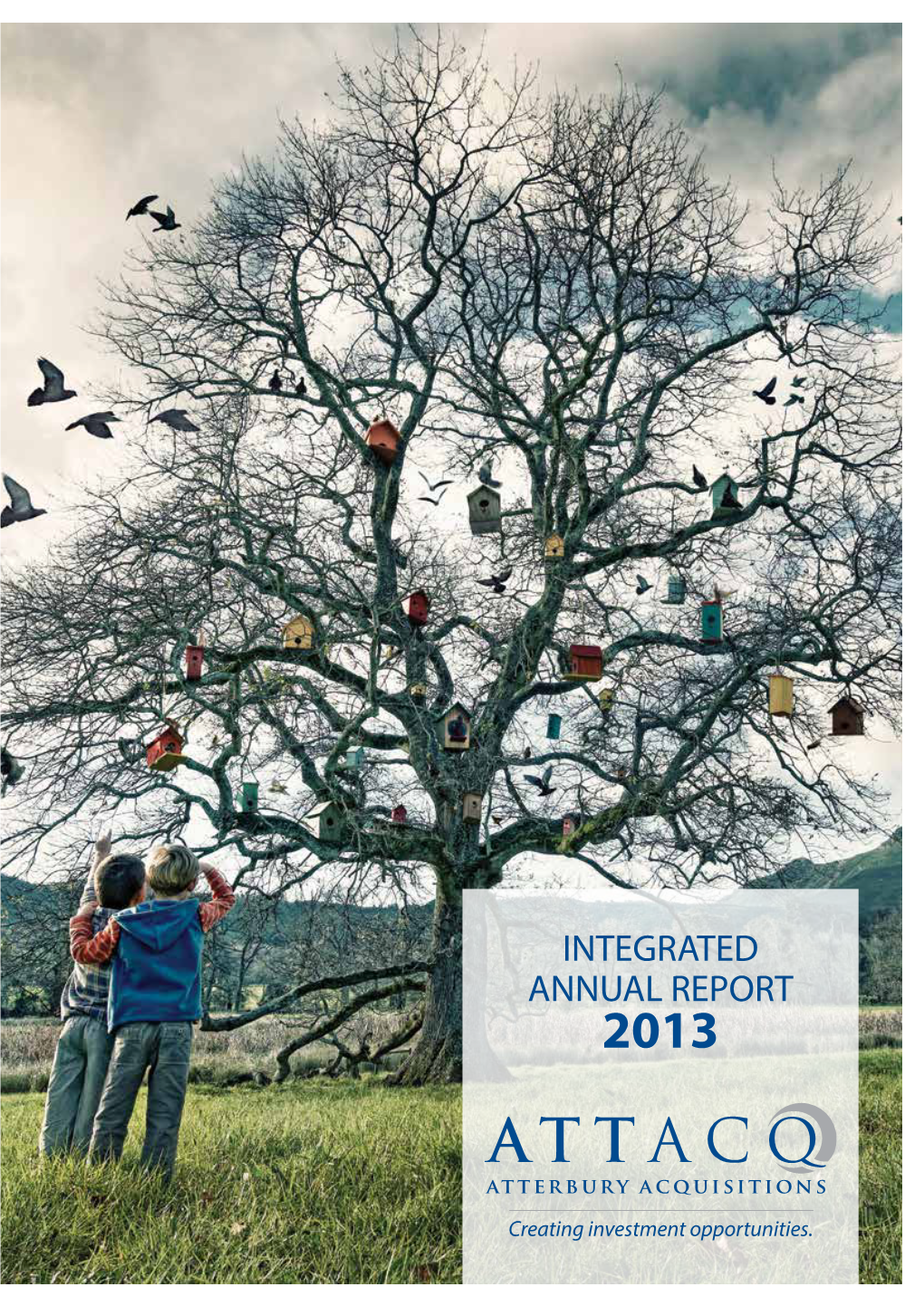 INTEGRATED ANNUAL REPORT 2013 About This Report