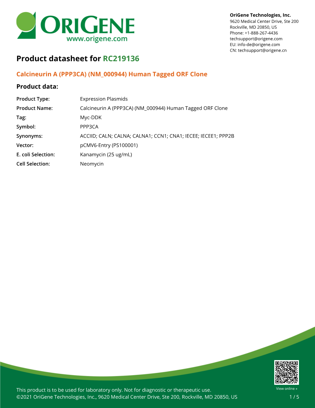 Calcineurin a (PPP3CA) (NM 000944) Human Tagged ORF Clone Product Data
