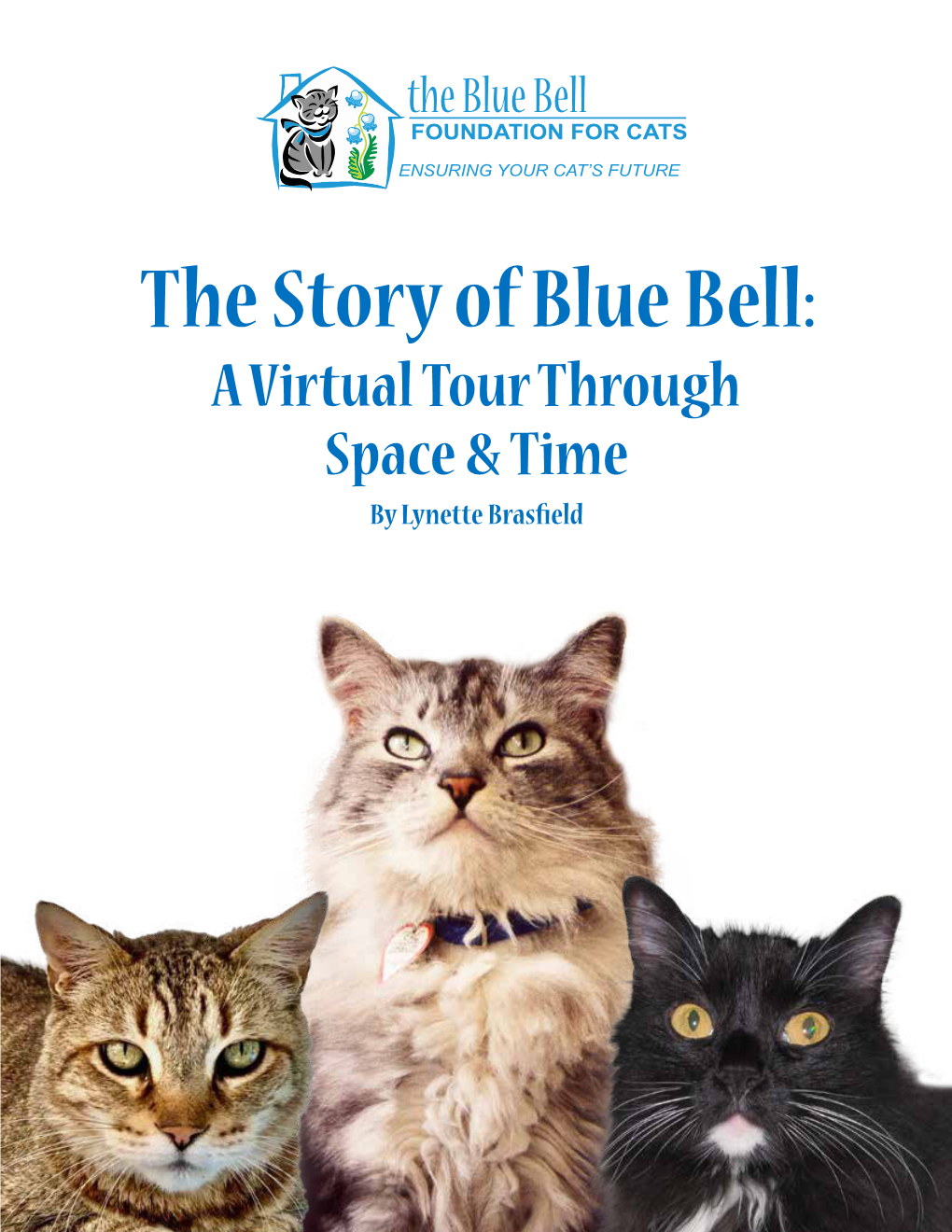 The Story of Blue Bell: a Virtual Tour Through Space & Time by Lynette Brasfield Blue Bell