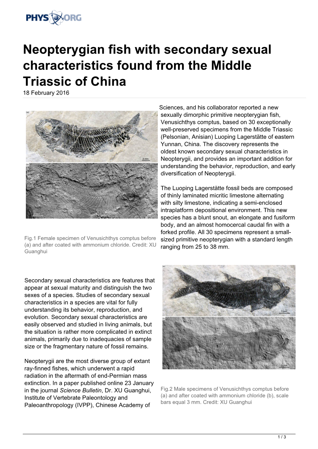 Neopterygian Fish with Secondary Sexual Characteristics Found from the Middle Triassic of China 18 February 2016