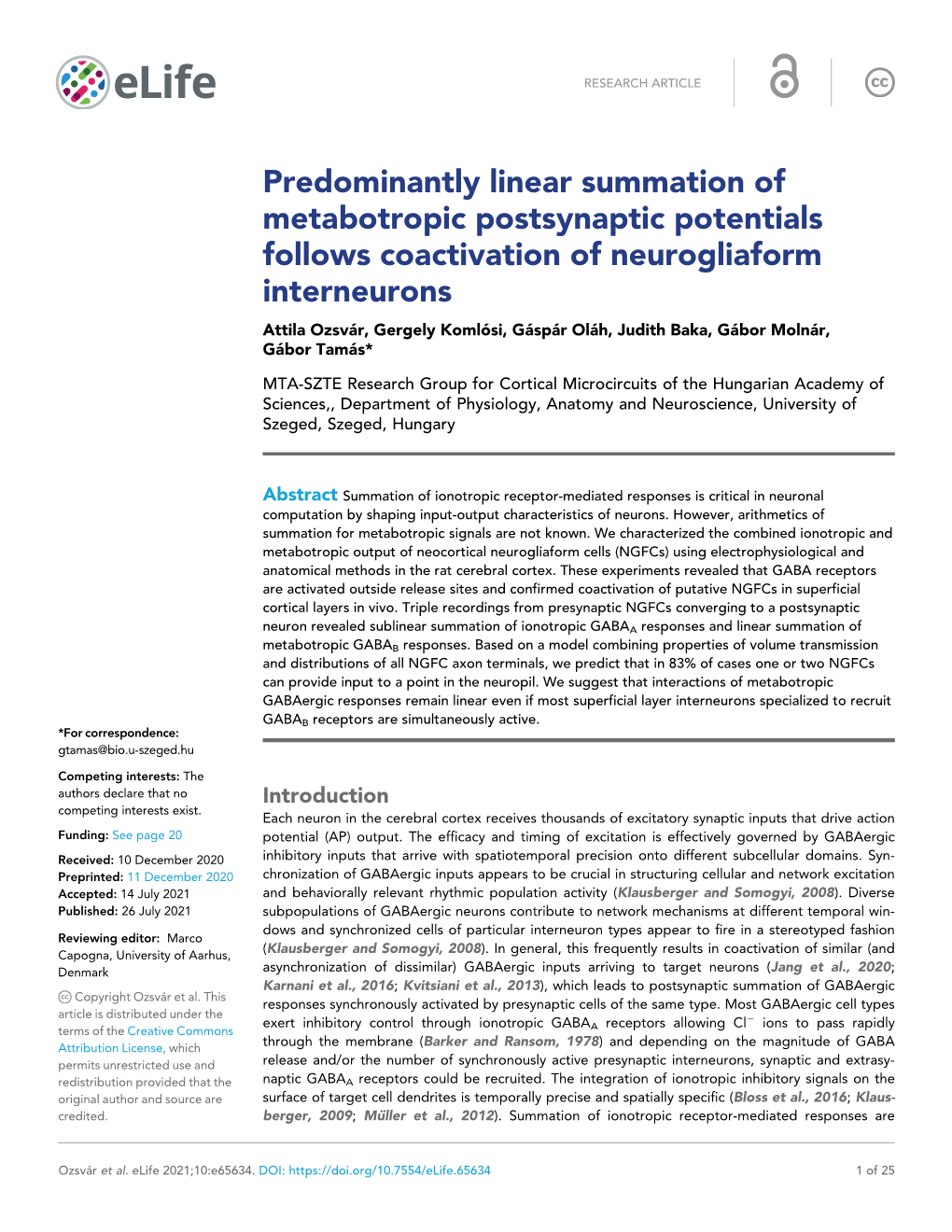 Predominantly Linear Summation of Metabotropic Postsynaptic