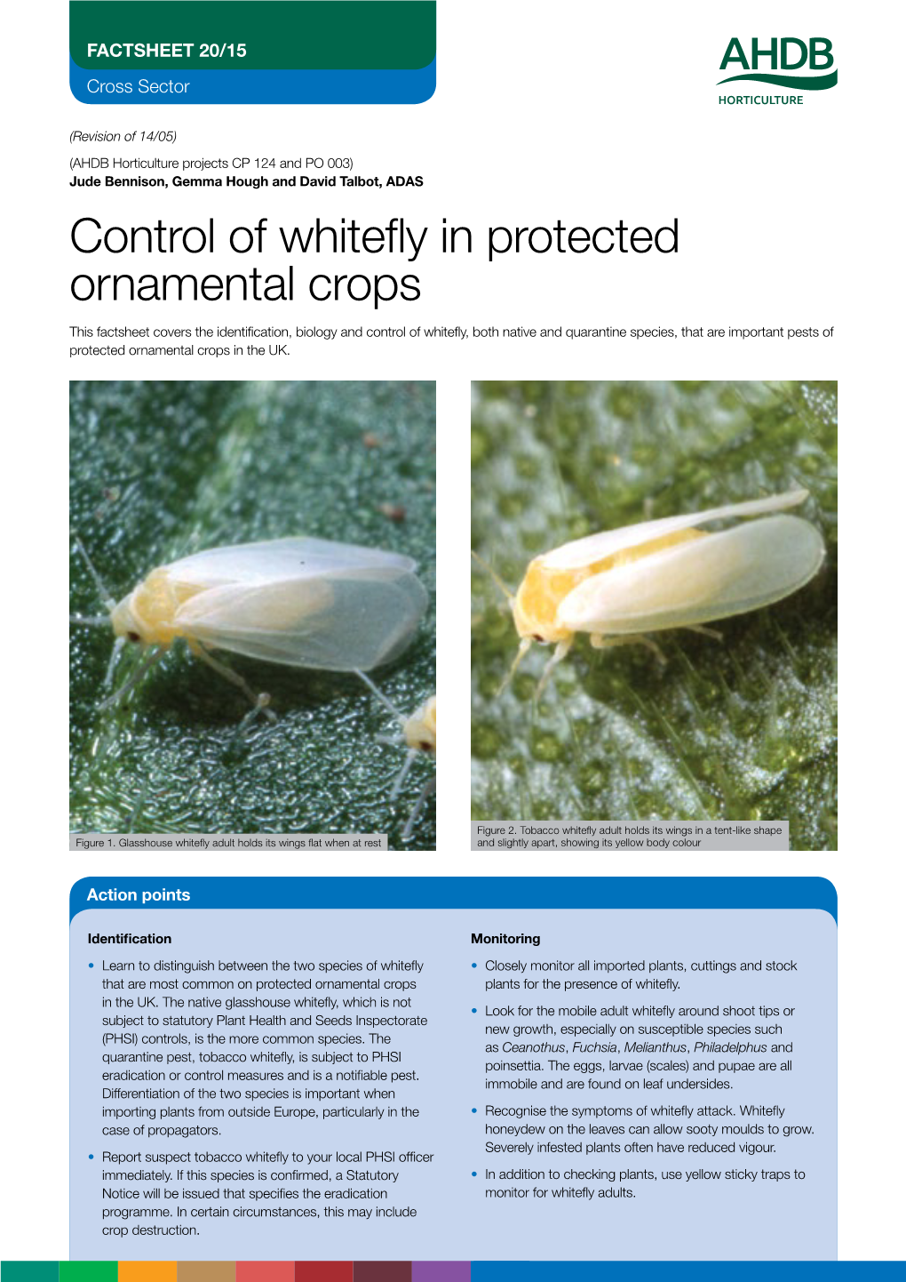 Control of Whitefly in Protected Ornamental Crops