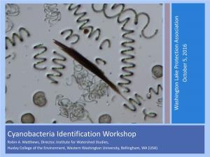 Cyanobacteriaidentification Workshop