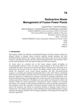 Radioactive Waste Management of Fusion Power Plants