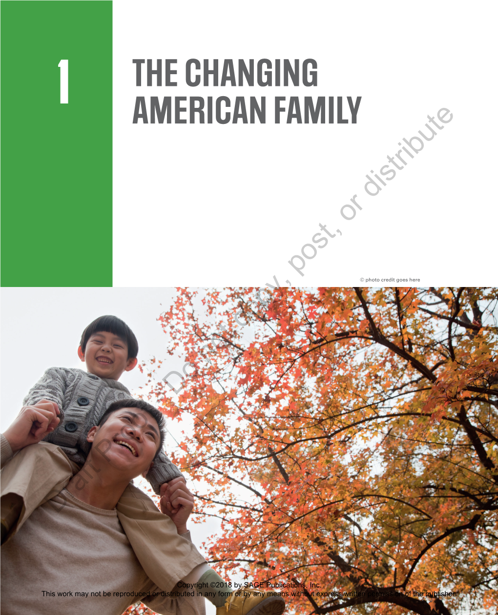 The Changing American Family 3