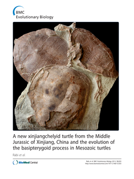 A New Xinjiangchelyid Turtle from the Middle Jurassic of Xinjiang, China and the Evolution of the Basipterygoid Process in Mesozoic Turtles Rabi Et Al