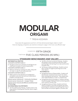 Modular Origami by Trisha Kodama