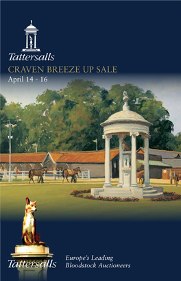 Tattersalls Craven Breeze up Sale 2015