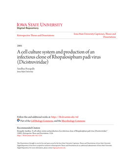 A Cell Culture System and Production of an Infectious Clone of Rhopalosiphum Padi Virus (Dicistroviridae) Sandhya Boyapalle Iowa State University