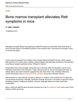 Bone Marrow Transplant Alleviates Rett Symptoms in Mice