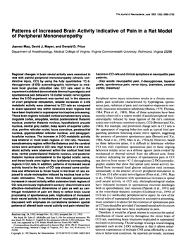 Patterns of Increased Brain Activity Indicative of Pain in a Rat Model of Peripheral Mononeuropathy