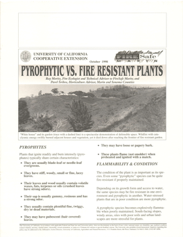 Pyrophytic Plants Vs. Fire Resistant Plants!