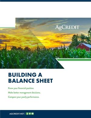 Building a Balance Sheet Guide