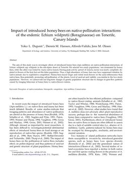 Impact of Introduced Honey Bees on Native Pollination Interactions of the Endemic Echium Wildpretii (Boraginaceae) on Tenerife, Canary Islands