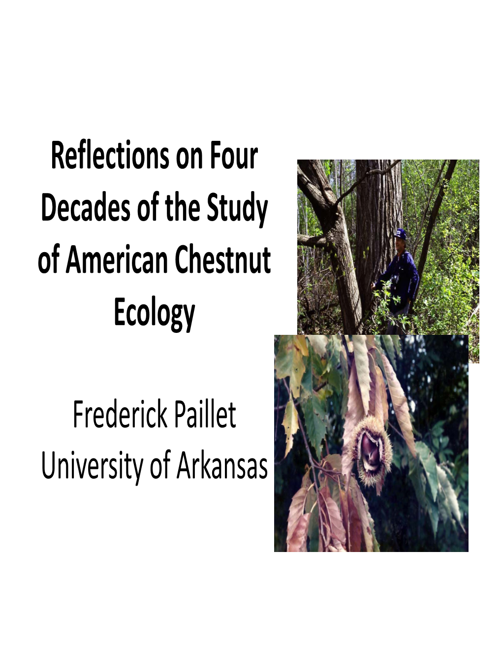 Reflections on Four Decades of the Study of American Chestnut Ecology