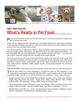 What's Really in Pet Food
