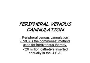 Cannulation of Peripheral Veins