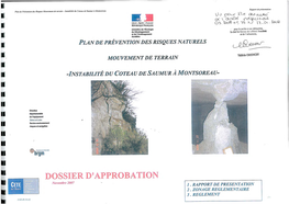 Rapport De Présentation