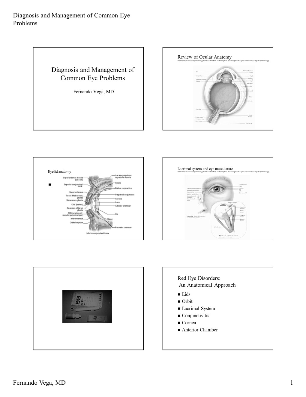 Diagnosis and Management of Common Eye Problems